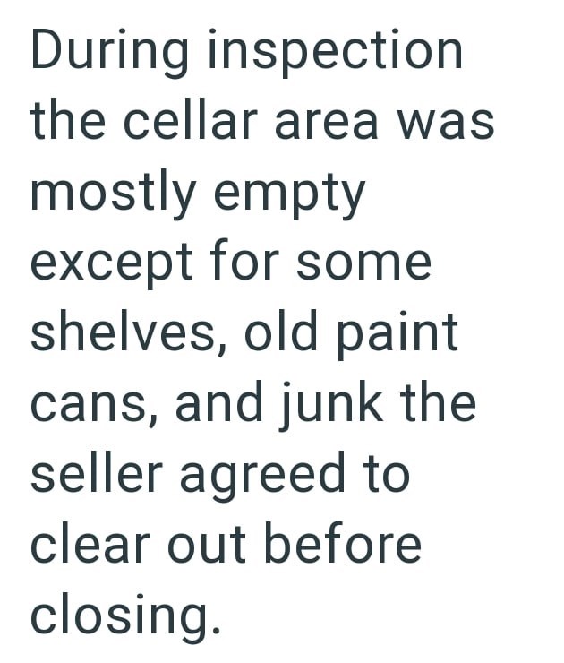 During inspection the cellar area was mostly empty except for some shelves, old paint cans, and junk the seller agreed to clear out before closing.