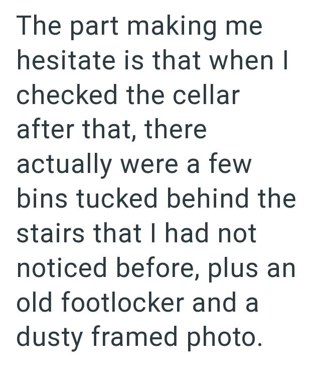 The part making me hesitate is that when I checked the cellar after that, there actually were a few bins tucked behind the stairs that I had not noticed before, plus an old footlocker and a dusty framed photo.