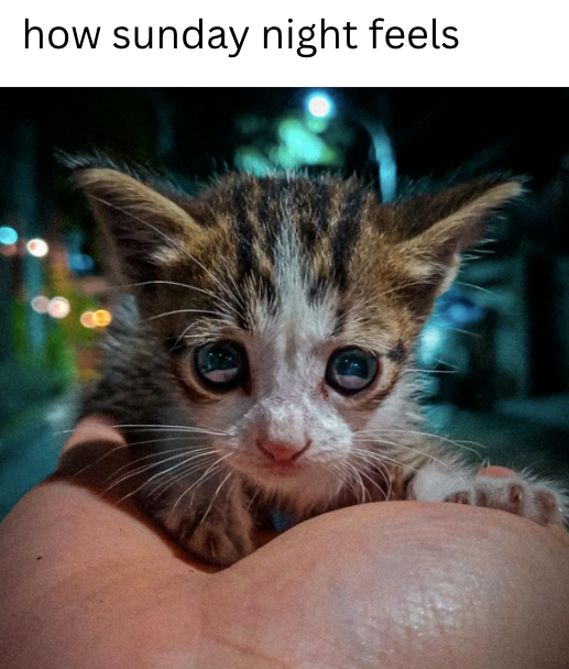 how sunday night feels