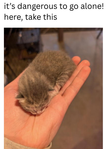 it's dangerous to go alone! here, take this