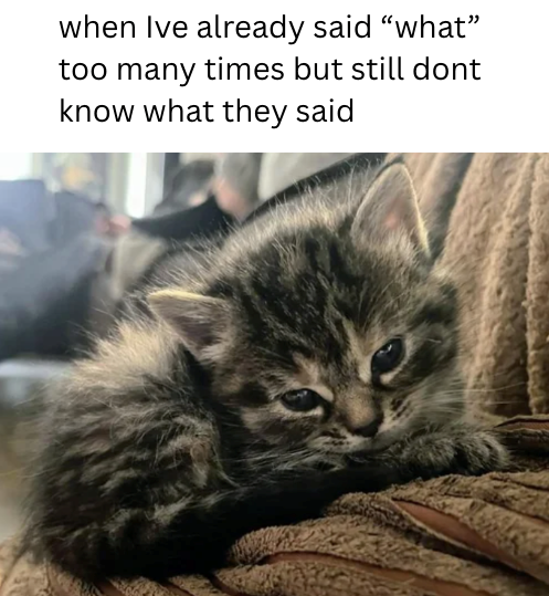 when Ive already said "what" too many times but still dont know what they said