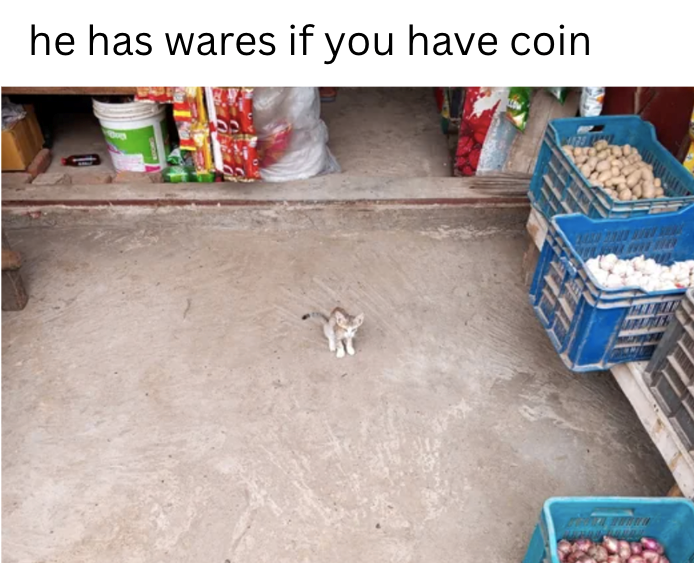 he has wares if you have coin wwwww