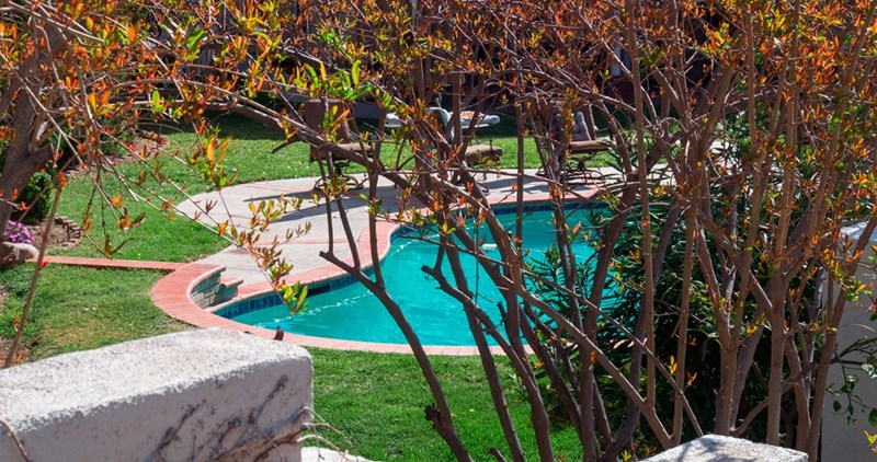Backyard swimming pool surrounded by pool chairs and grassy lawn.