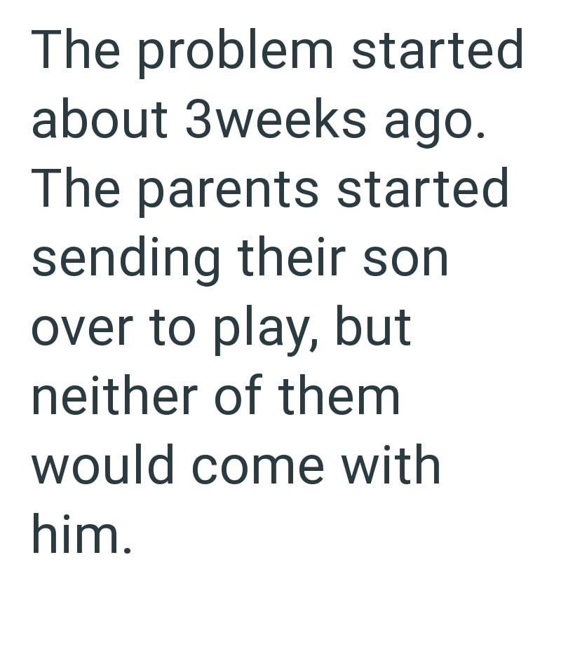 The problem started about 3weeks ago. The parents started sending their son over to play, but neither of them would come with him.