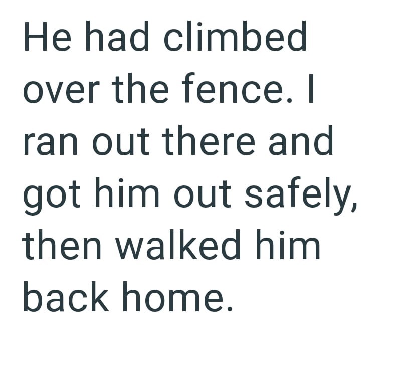 He had climbed over the fence. I ran out there and got him out safely, then walked him back home.