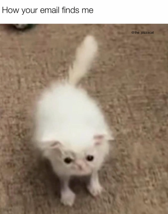 How your email finds me @the_pizzacat