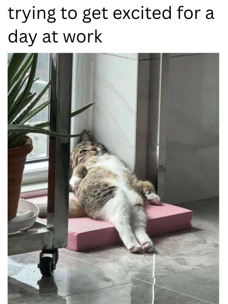 trying to get excited for a day at work