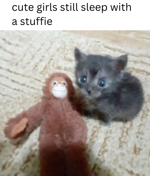 cute girls still sleep with a stuffie