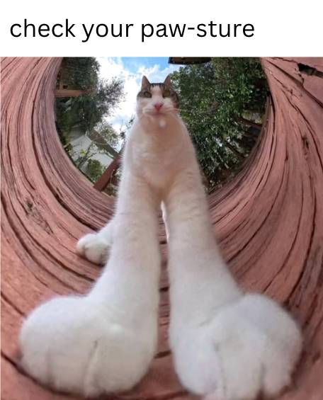 check your paw-sture