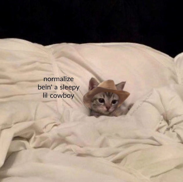 normalize bein' a sleepy lil cowboy @cats and cowboy hats