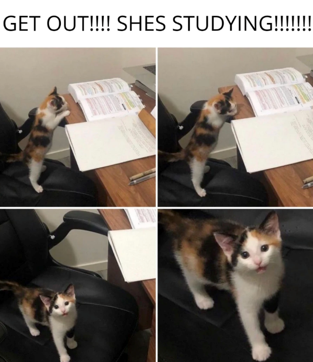 GET OUT!!!! SHES STUDYING!!!!!!!!