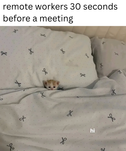 remote workers 30 seconds before a meeting d X 8 & ୨୧ hi X f of