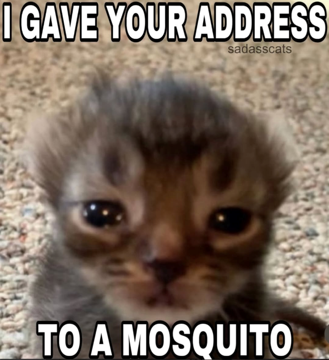 I GAVE YOUR ADDRESS sadasscats TO A MOSQUITO