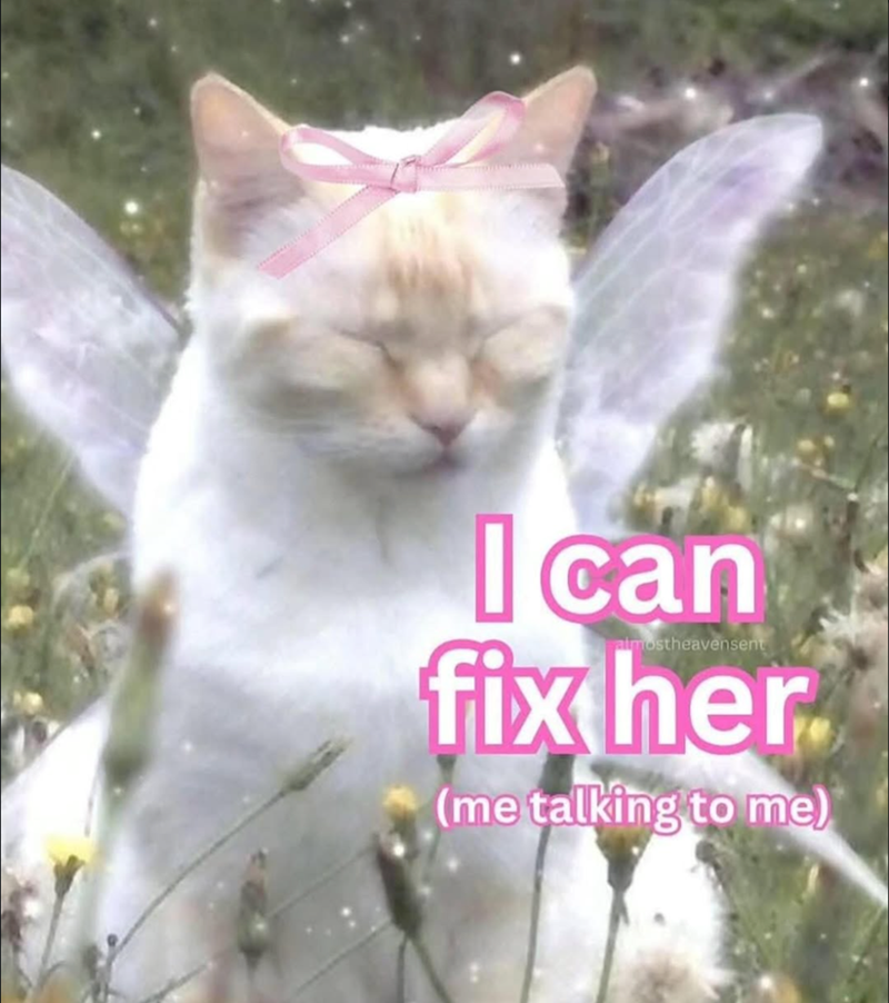 I can fix her. almostheavensent (me talking to me)