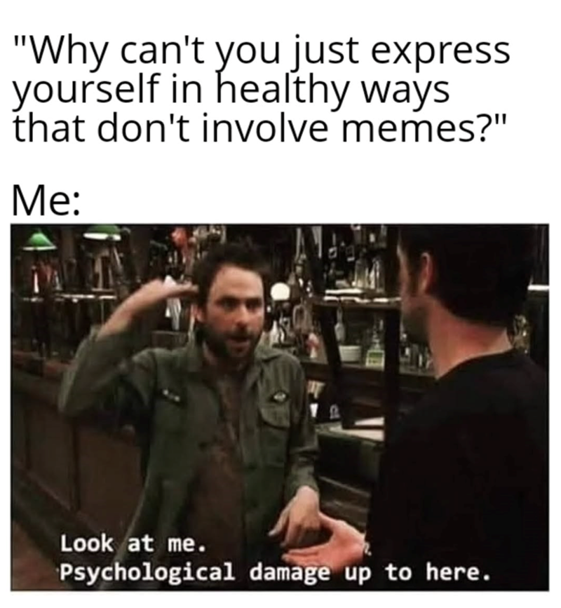 "Why can't you just express yourself in healthy ways that don't involve memes?" Me: Look at me. Psychological damage up to here.