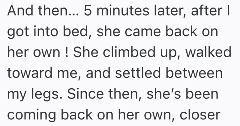 And then... 5 minutes later, after I got into bed, she came back on her own! She climbed up, walked toward me, and settled between my legs. Since then, she's been coming back on her own, closer