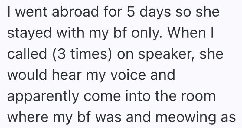 I went abroad for 5 days so she stayed with my bf only. When I called (3 times) on speaker, she would hear my voice and apparently come into the room where my bf was and meowing as