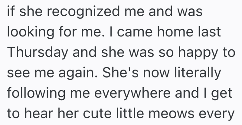 if she recognized me and was looking for me. I came home last Thursday and she was so happy to see me again. She's now literally following me everywhere and I get to hear her cute little meows every