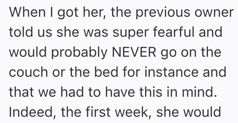 When I got her, the previous owner told us she was super fearful and would probably NEVER go on the couch or the bed for instance and that we had to have this in mind. Indeed, the first week, she would
