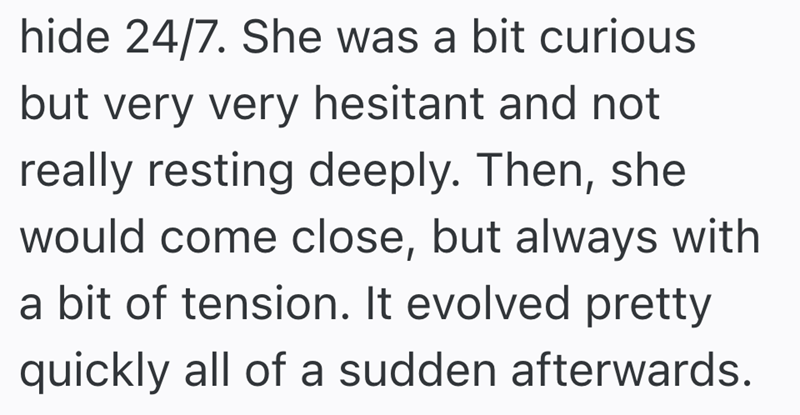 hide 24/7. She was a bit curious but very very hesitant and not really resting deeply. Then, she would come close, but always with a bit of tension. It evolved pretty quickly all of a sudden afterwards.