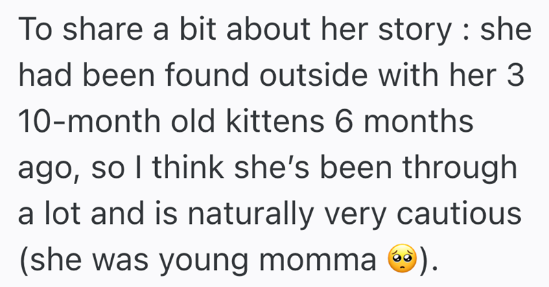 To share a bit about her story: she had been found outside with her 3 10-month old kittens 6 months ago, so I think she's been through a lot and is naturally very cautious (she was young momma ②).
