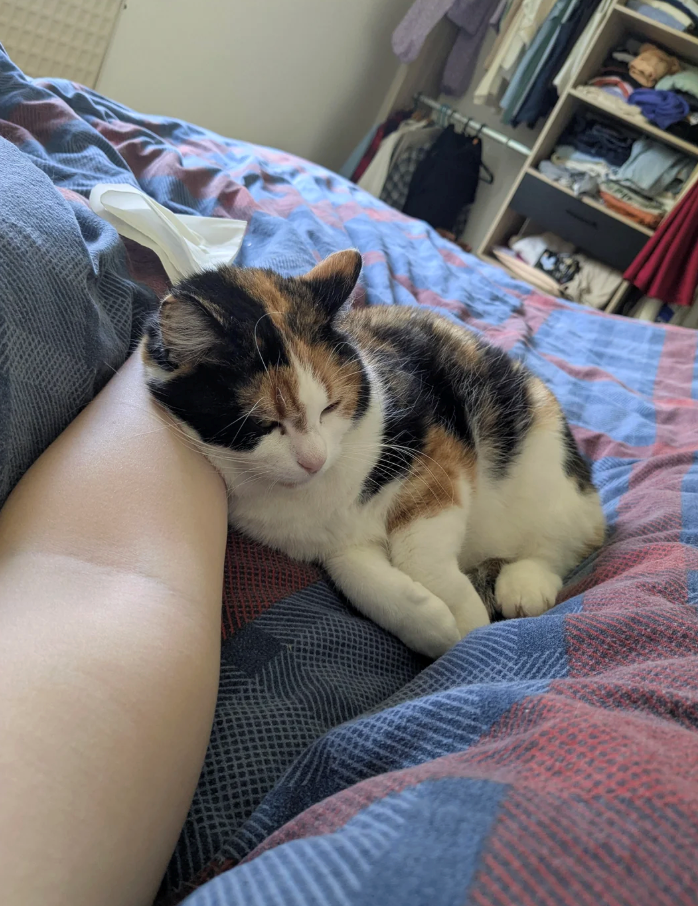 Cheezburger Image 10620965632