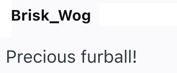 Brisk_Wog Precious furball!