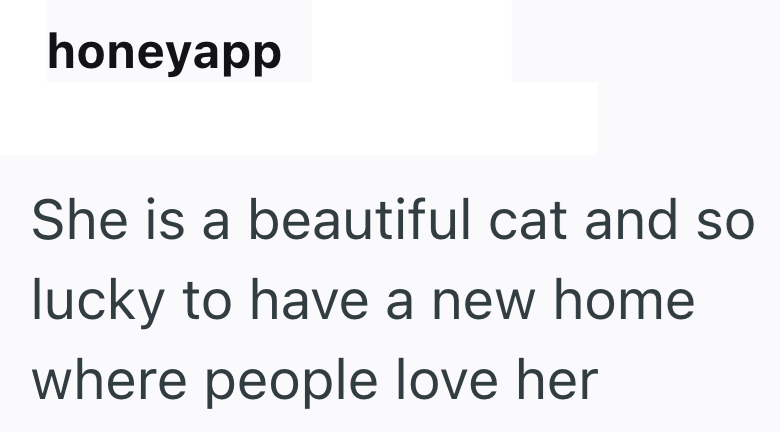 honeyapp She is a beautiful cat and so lucky to have a new home where people love her