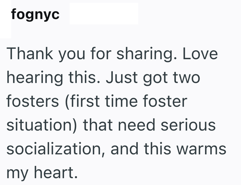 fognyc Thank you for sharing. Love hearing this. Just got two fosters (first time foster situation) that need serious socialization, and this warms my heart.