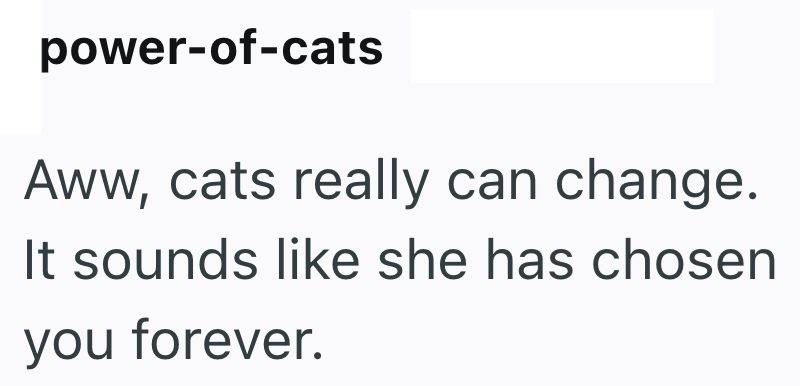 power-of-cats Aww, cats really can change. It sounds like she has chosen you forever.