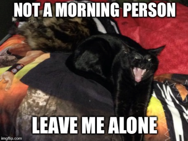 NOT A MORNING PERSON LEAVE ME ALONE imgflip.com