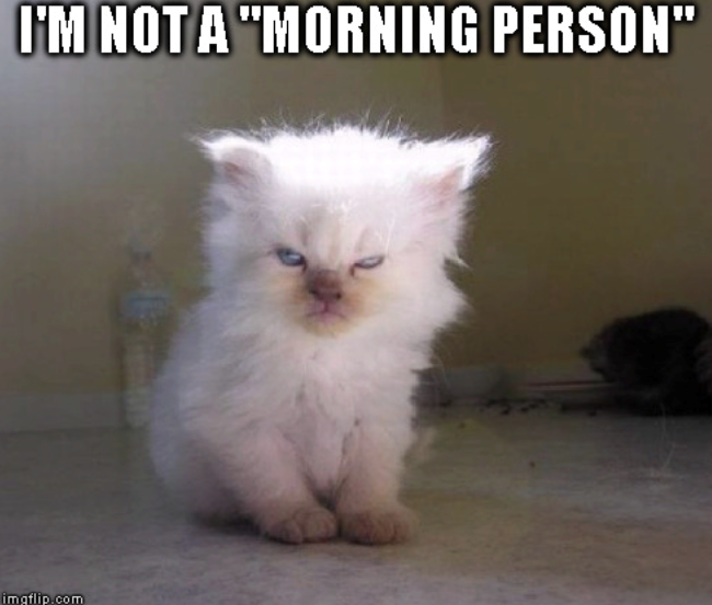 I'M NOT A "MORNING PERSON" imgflip.com