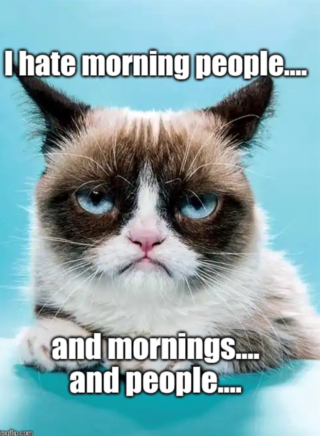 I hate morning people..... mgflip.com and mornings.... and people....