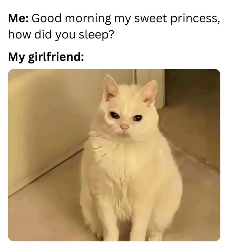 Me: Good morning my sweet princess, how did you sleep? My girlfriend: