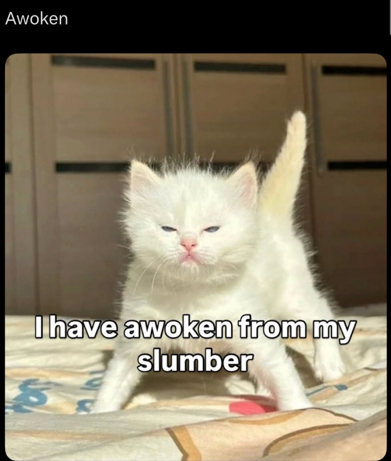 Awoken I have awoken from my slumber