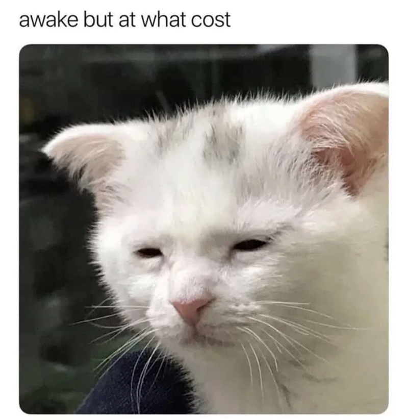 awake but at what cost