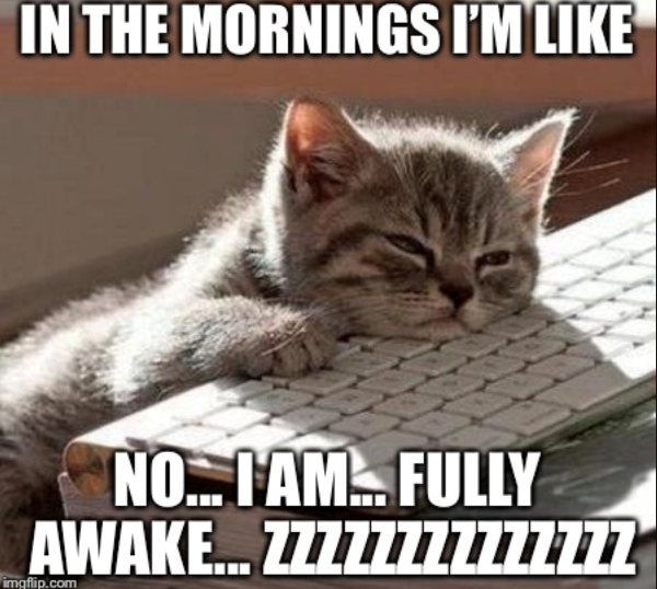 IN THE MORNINGS I'M LIKE NO... I AM... FULLY AWAKE... ZZZZZZZZ777777 imgflip.com