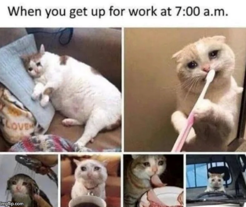 When you get up for work at 7:00 a.m. LOVE imgflip.com