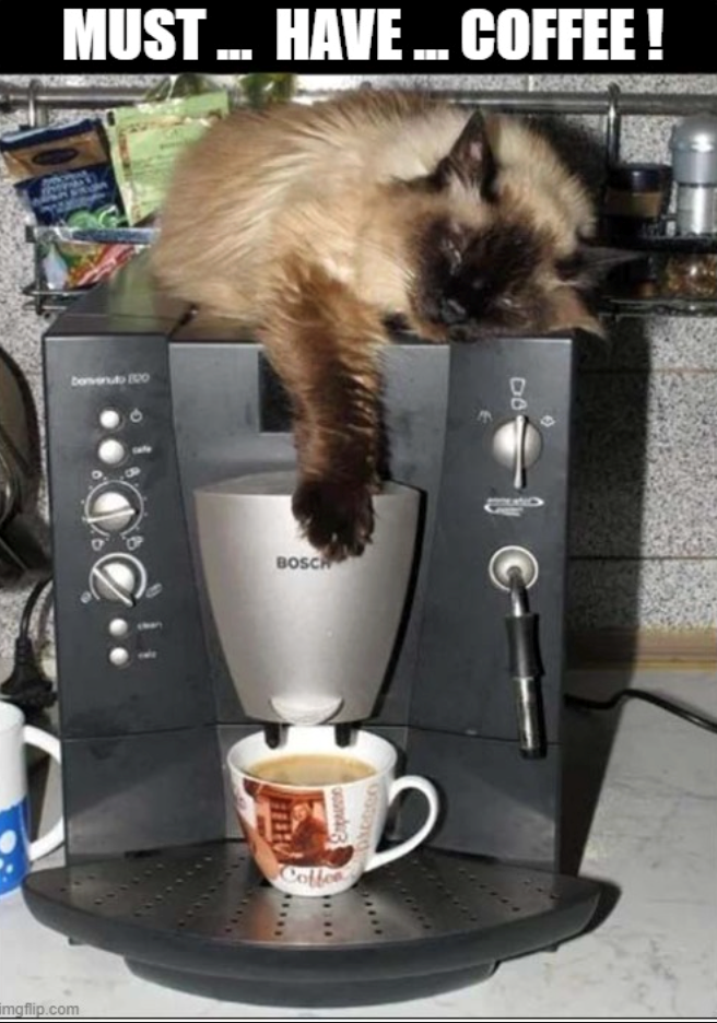 MUST... HAVE ... COFFEE! benvenuto 8020 imgflip.com BOSCH Coffee DO