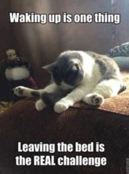 Waking up is one thing Leaving the bed is the REAL challenge