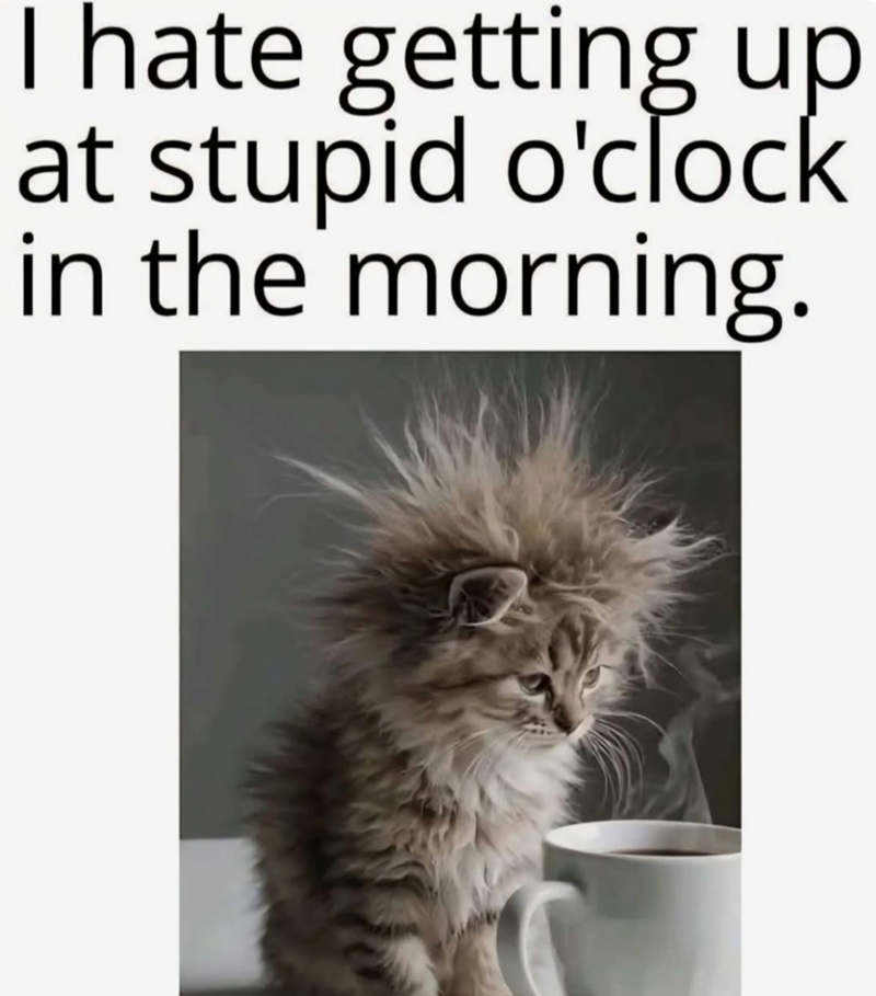 I hate getting up at stupid o'clock in the morning.