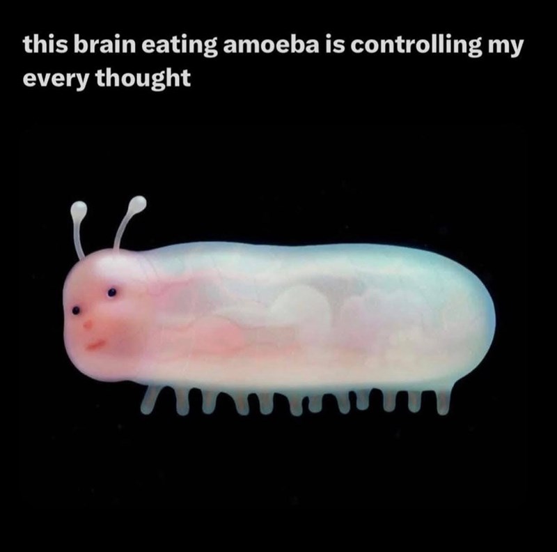 this brain eating amoeba is controlling my every thought m