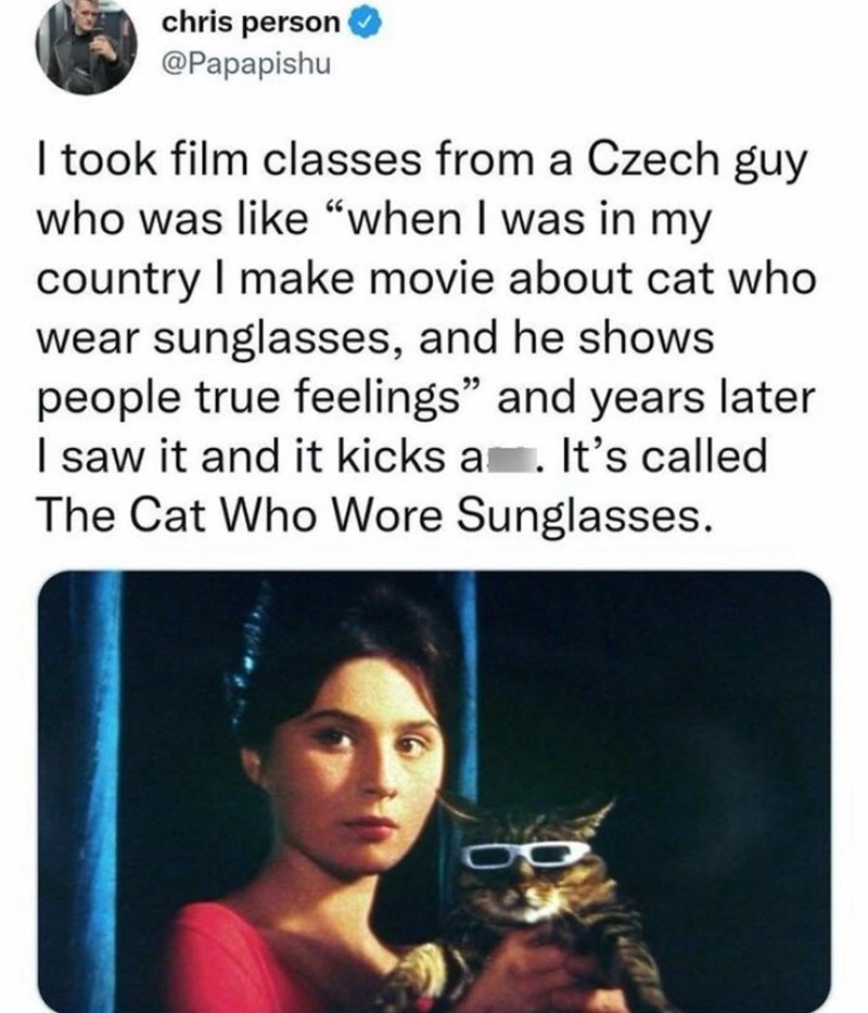 chris person @Papapishu I took film classes from a Czech guy who was like "when I was in my country I make movie about cat who wear sunglasses, and he shows people true feelings" and years later I saw it and it kicks a . It's called The Cat Who Wore Sunglasses.