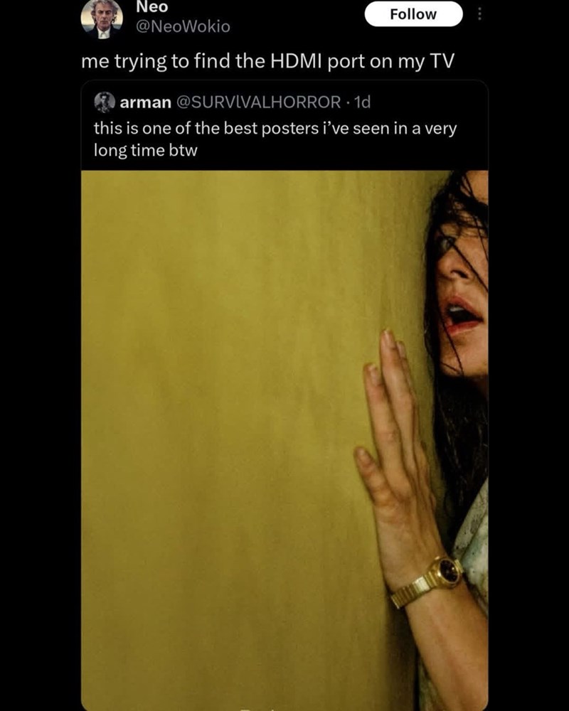 Neo @NeoWokio Follow me trying to find the HDMI port on my TV arman @SURVIVALHORROR 1d this is one of the best posters i've seen in a very long time btw