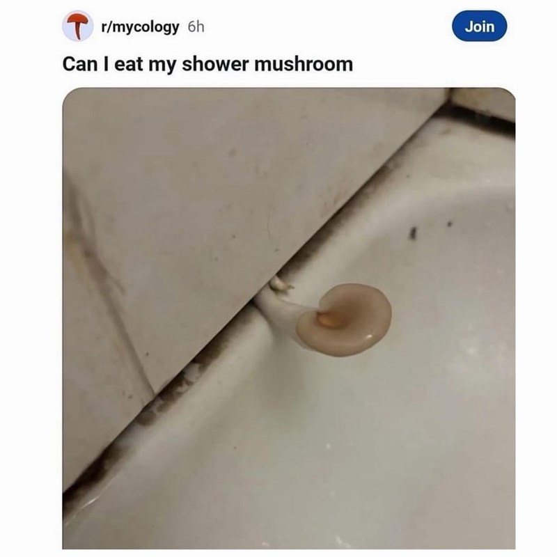 Tr/mycology 6h Can I eat my shower mushroom Join