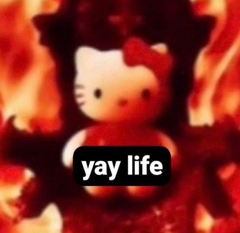 yay life