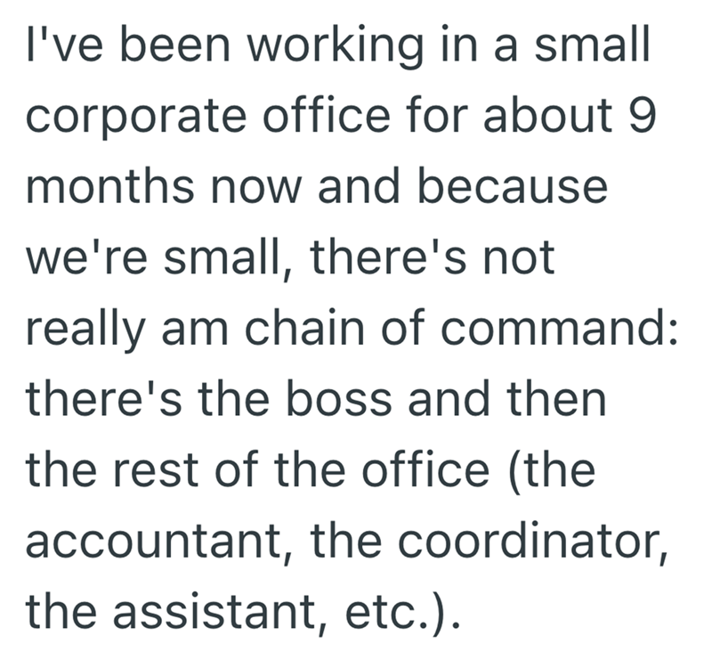 I've been working in a small corporate office for about 9 months now and because we're small, there's not really am chain of command: there's the boss and then the rest of the office (the accountant, the coordinator, the assistant, etc.).