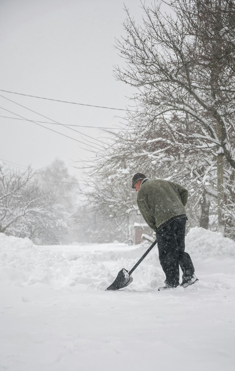 Cheezburger Image 10621026048