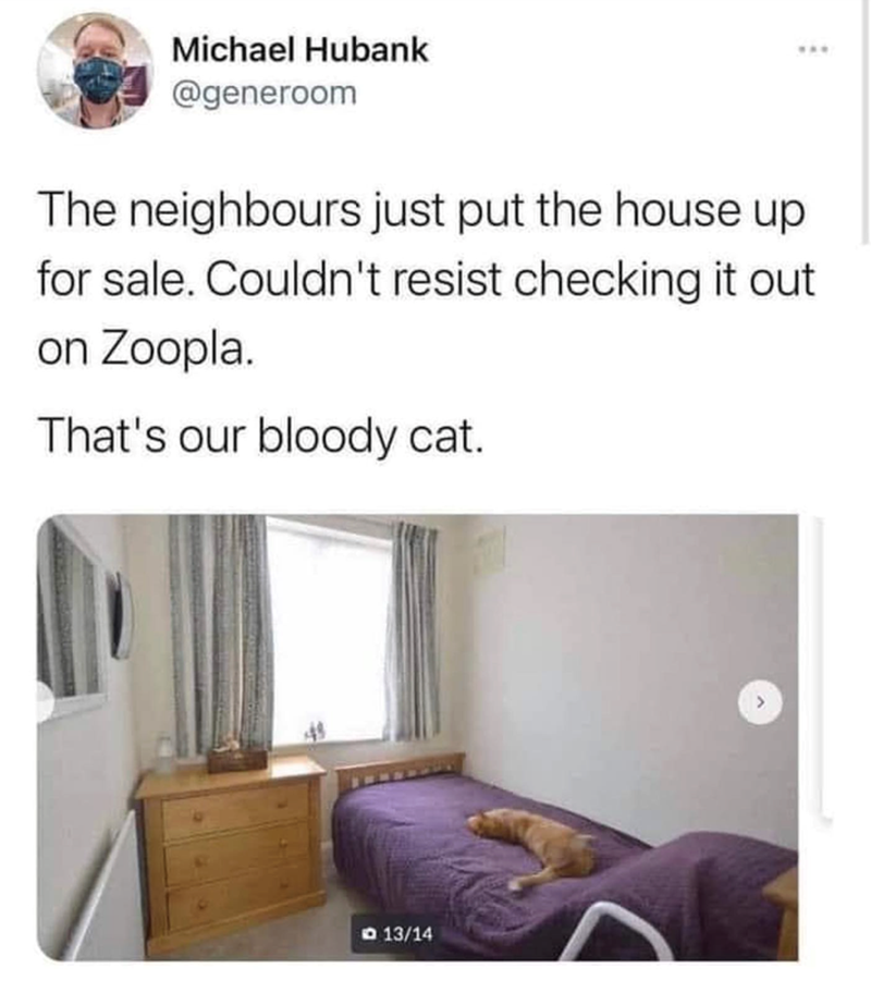 Michael Hubank @generoom The neighbours just put the house up for sale. Couldn't resist checking it out on Zoopla. That's our bloody cat. 13/14