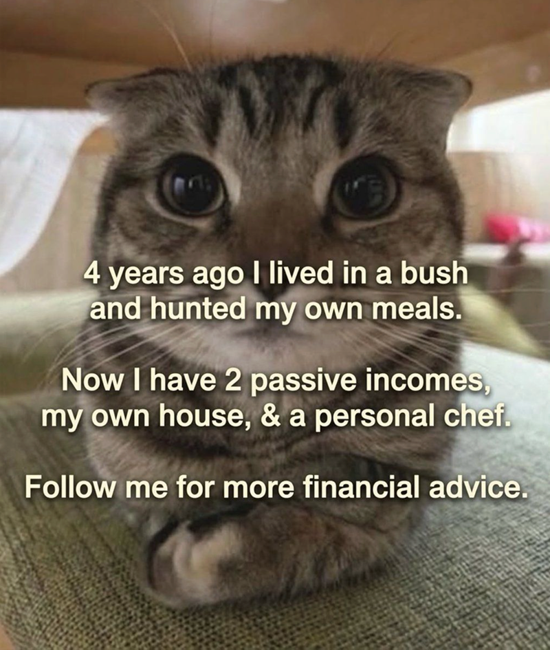 4 years ago I lived in a bush and hunted my own meals. Now I have 2 passive incomes, my own house, & a personal chef. Follow me for more financial advice.